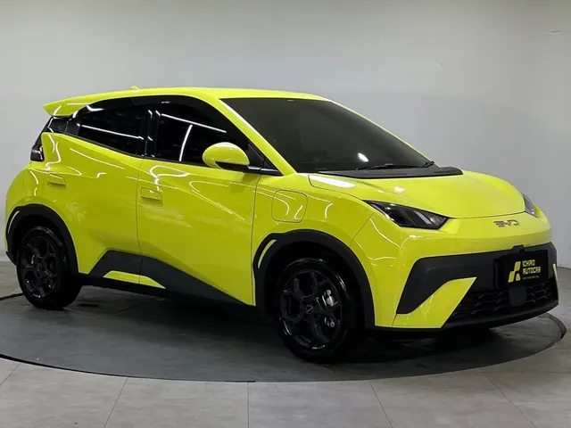 BYD ATTO 1 DYNAMIC